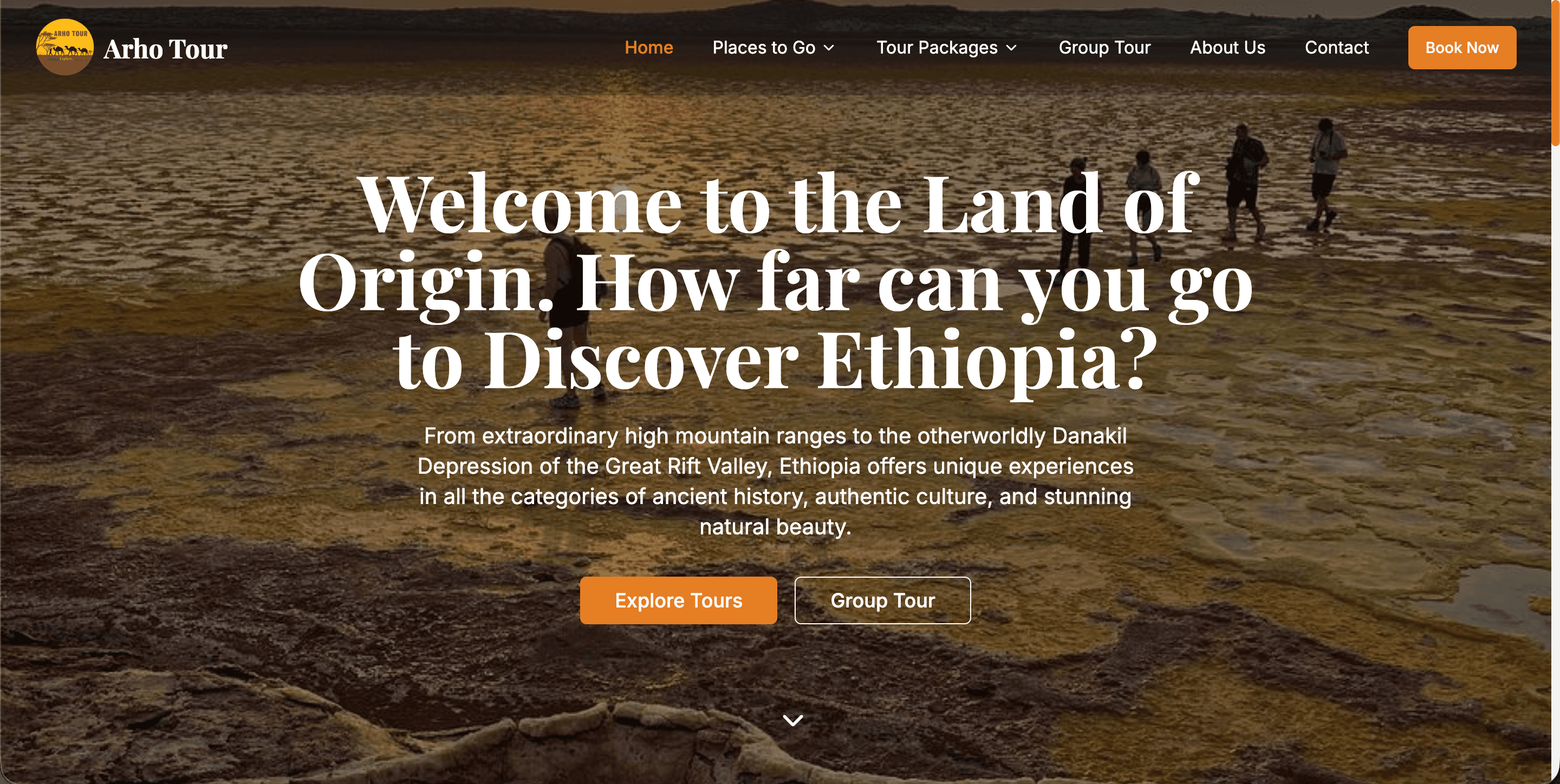 Arho Tour & Travel website screenshot